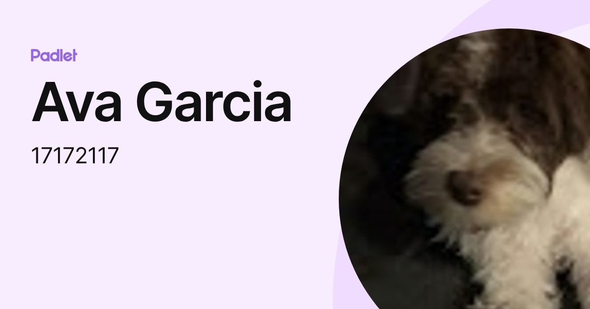 Ava Garcia (17172117) profile | Padlet