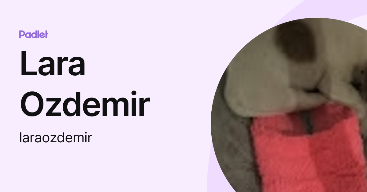 Lara Ozdemir (laraozdemir) profile | Padlet
