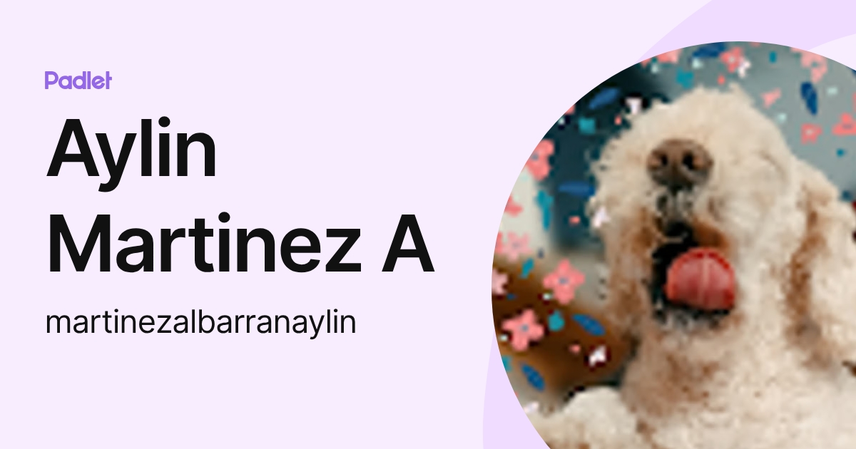 Aylin Martinez A (martinezalbarranaylin) profile | Padlet