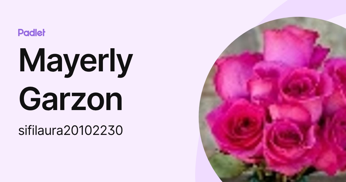 Mayerly Garzon (sifilaura20102230) profile | Padlet