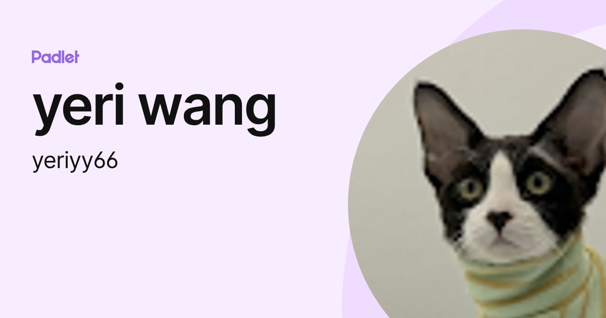 yeri wang (yeriyy66) profile | Padlet