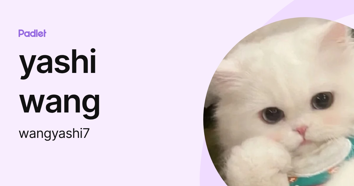 yashi wang (wangyashi7) profile | Padlet