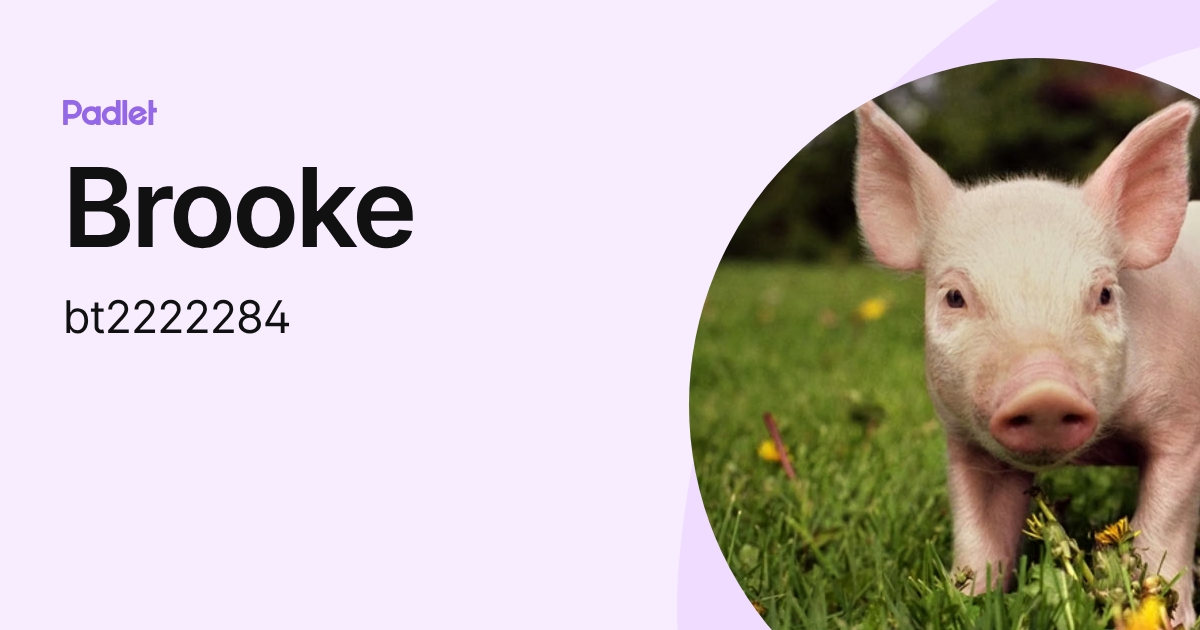 Brooke (bt2222284) profile | Padlet