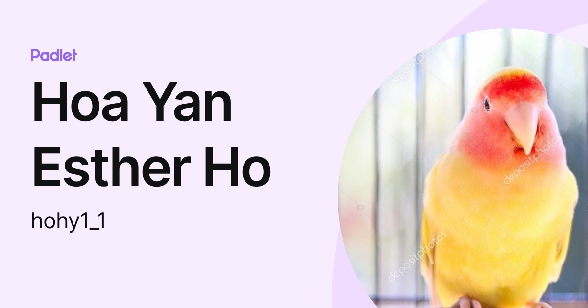 Hoa Yan Esther Ho (hohy1_1) profile | Padlet