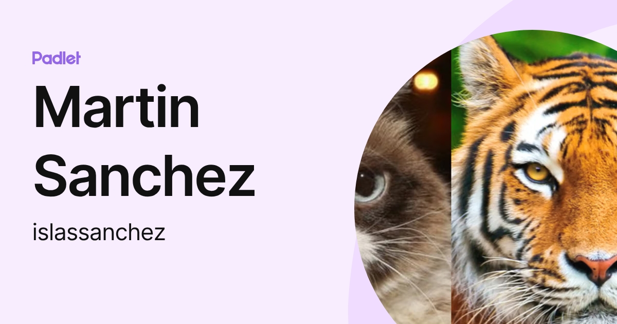 Martin Sanchez (islassanchez) profile | Padlet