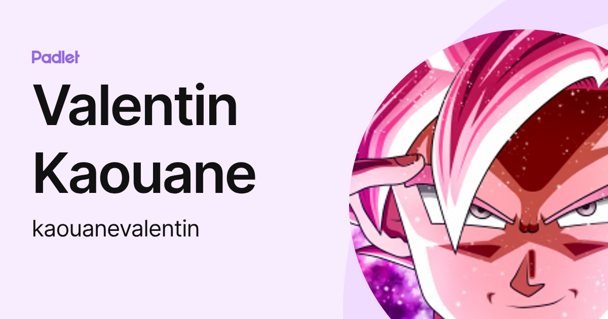 Valentin Kaouane (kaouanevalentin) profile | Padlet