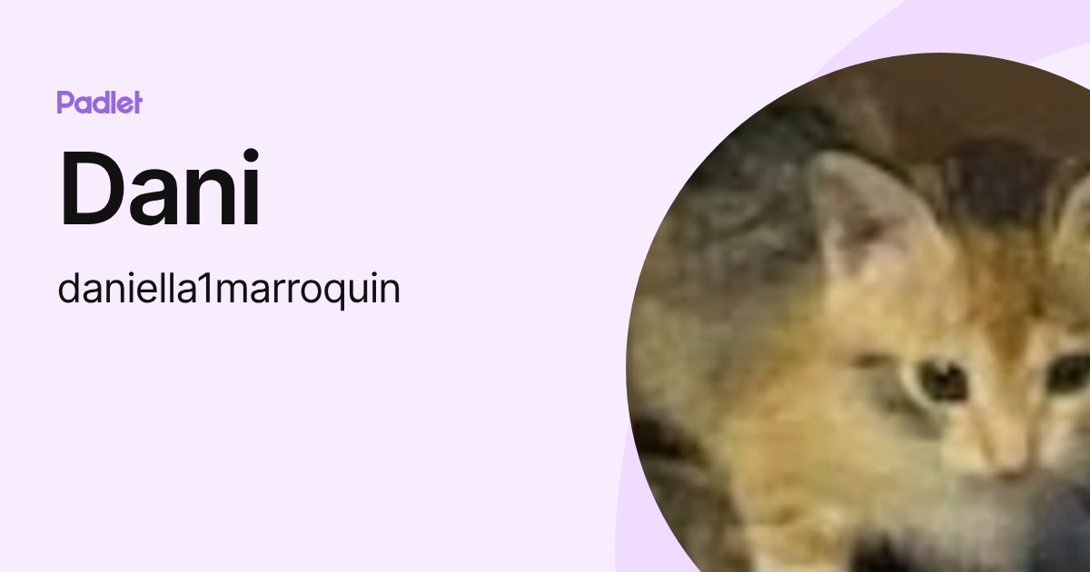 Dani (daniella1marroquin) profile | Padlet