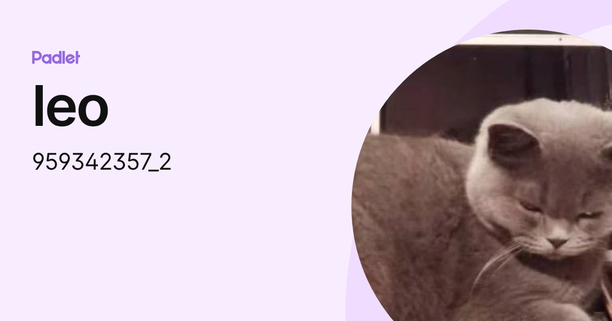 leo (9593423571) profile | Padlet