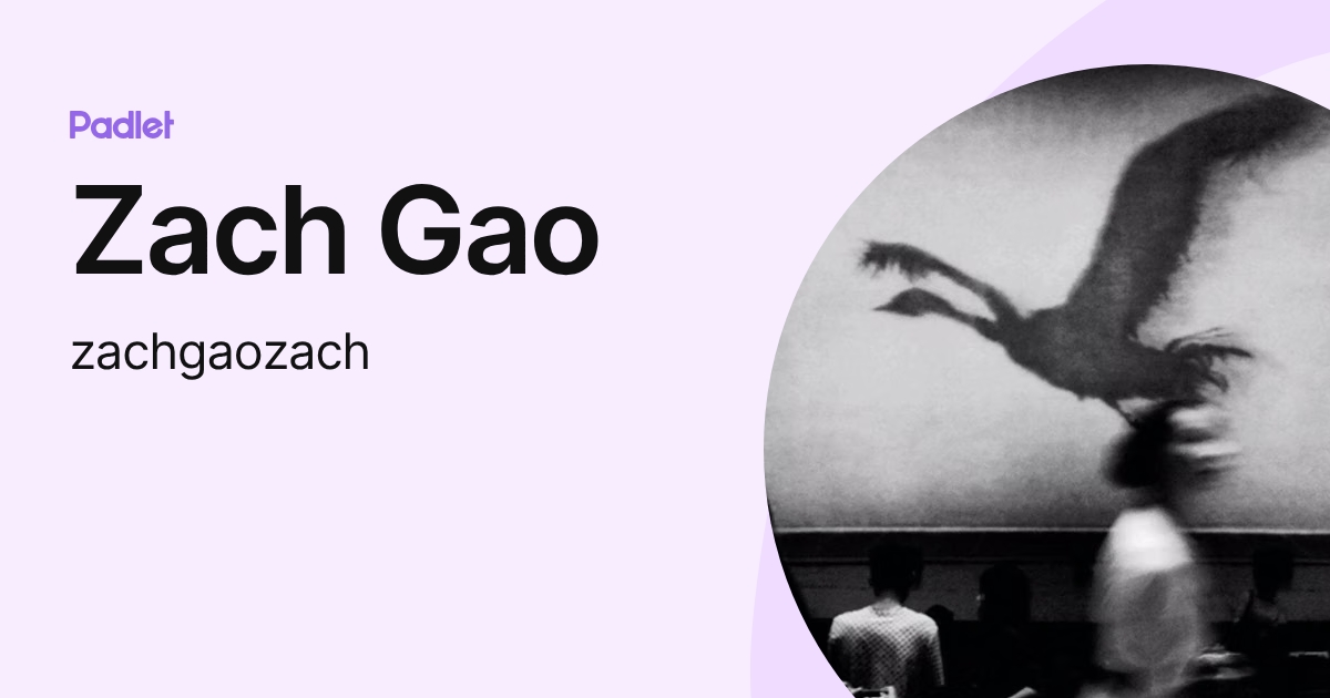 Zach Gao (zachgaozach) profile | Padlet