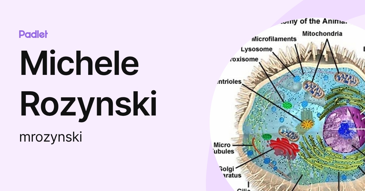 Michele Rozynski (mrozynski) profile | Padlet