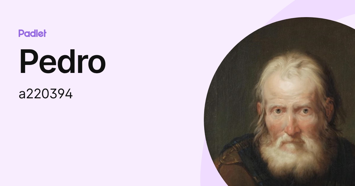 Pedro (a220394) profile | Padlet