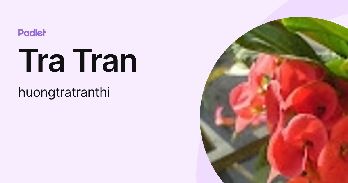 Tra Tran (huongtratranthi) profile | Padlet