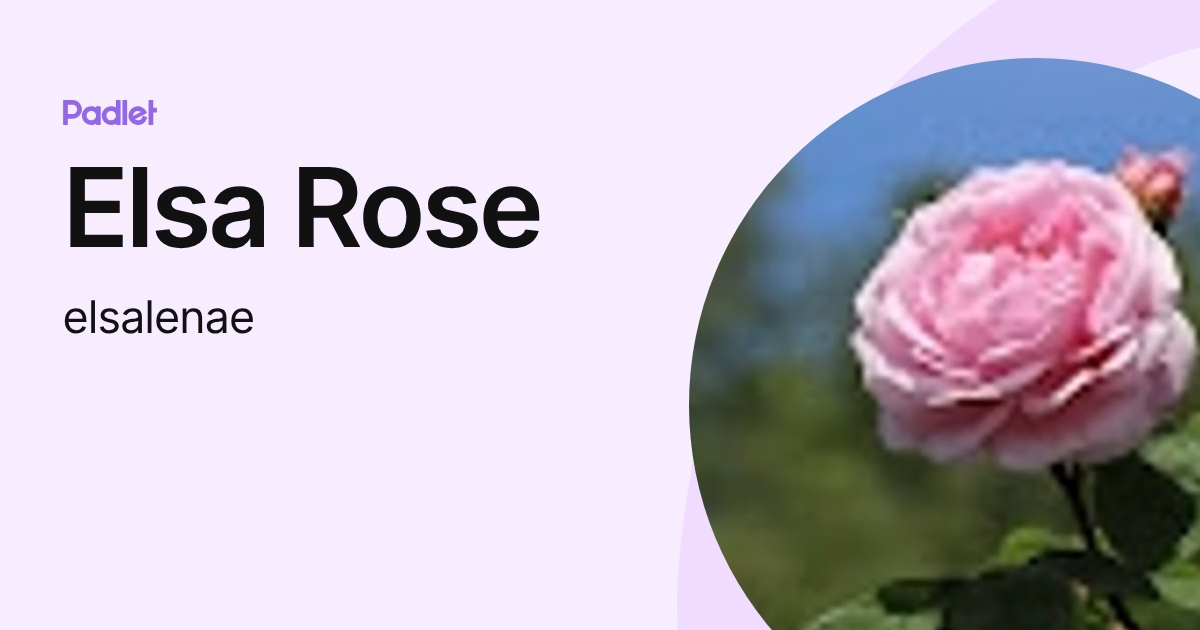 Elsa Rose (elsalenae) profile | Padlet