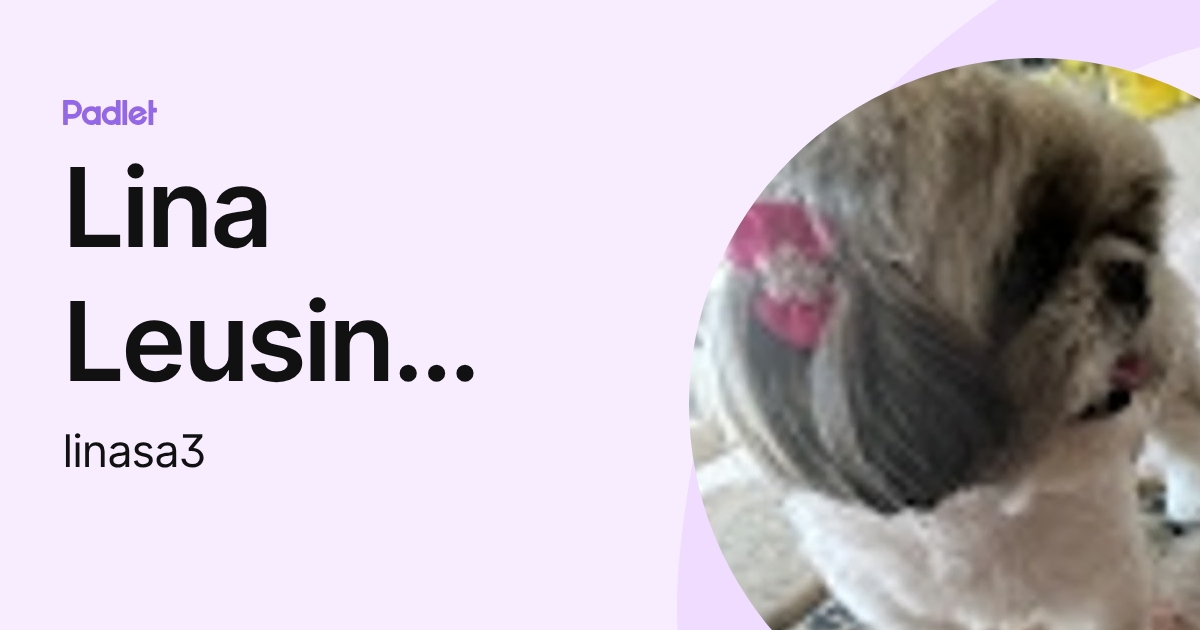 Lina Leusin Spielmann De Sá (linasa3) profile | Padlet