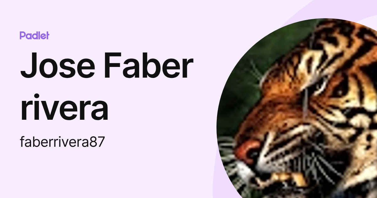 Jose Faber rivera (faberrivera87) profile | Padlet