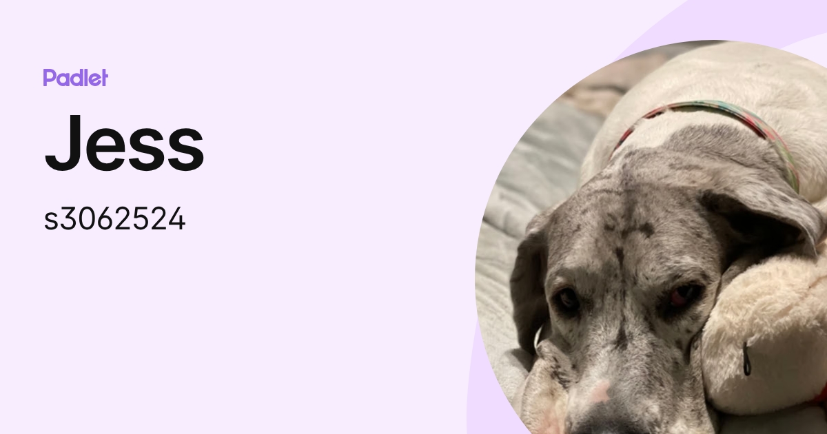 Jess (s3062524) profile | Padlet