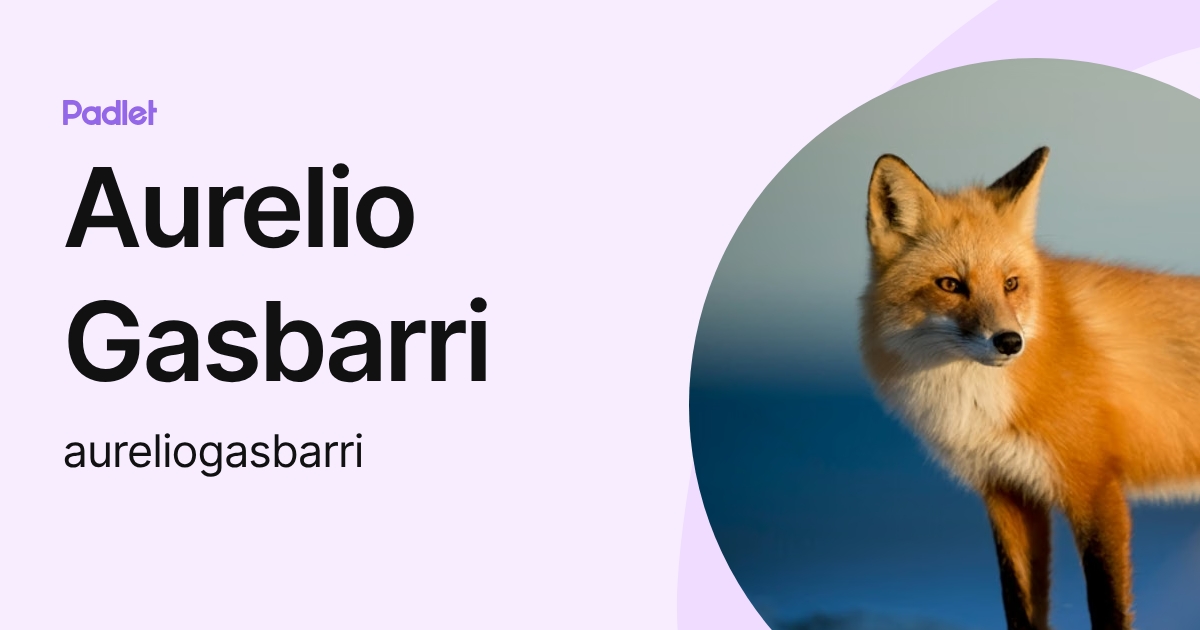 Aurelio Gasbarri (aureliogasbarri) profile | Padlet