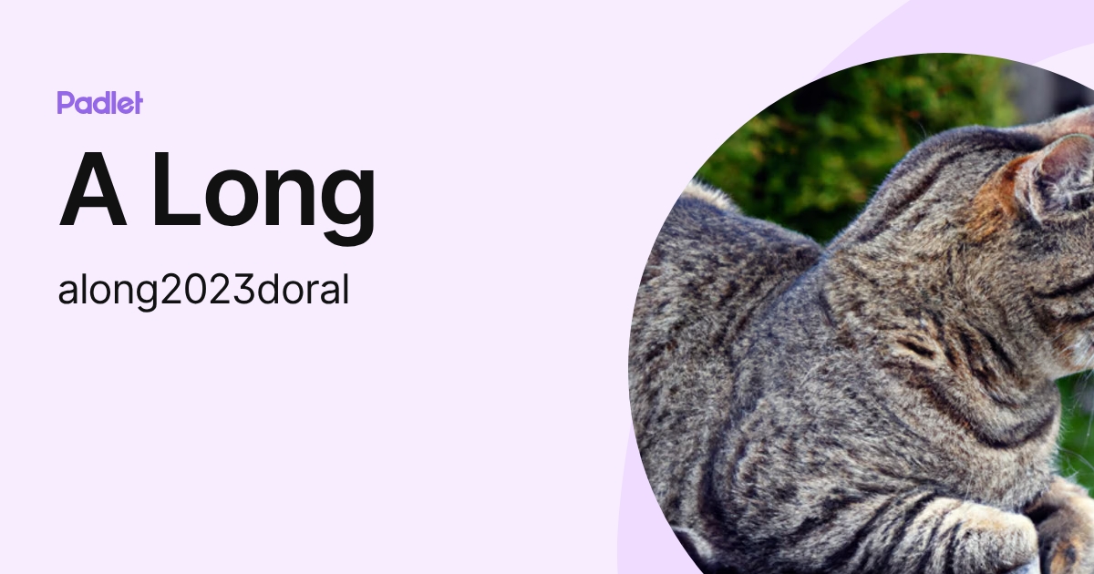 A Long (along2023doral) profile | Padlet