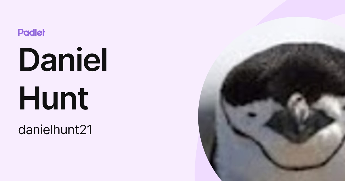 Daniel Hunt (danielhunt21) profile | Padlet