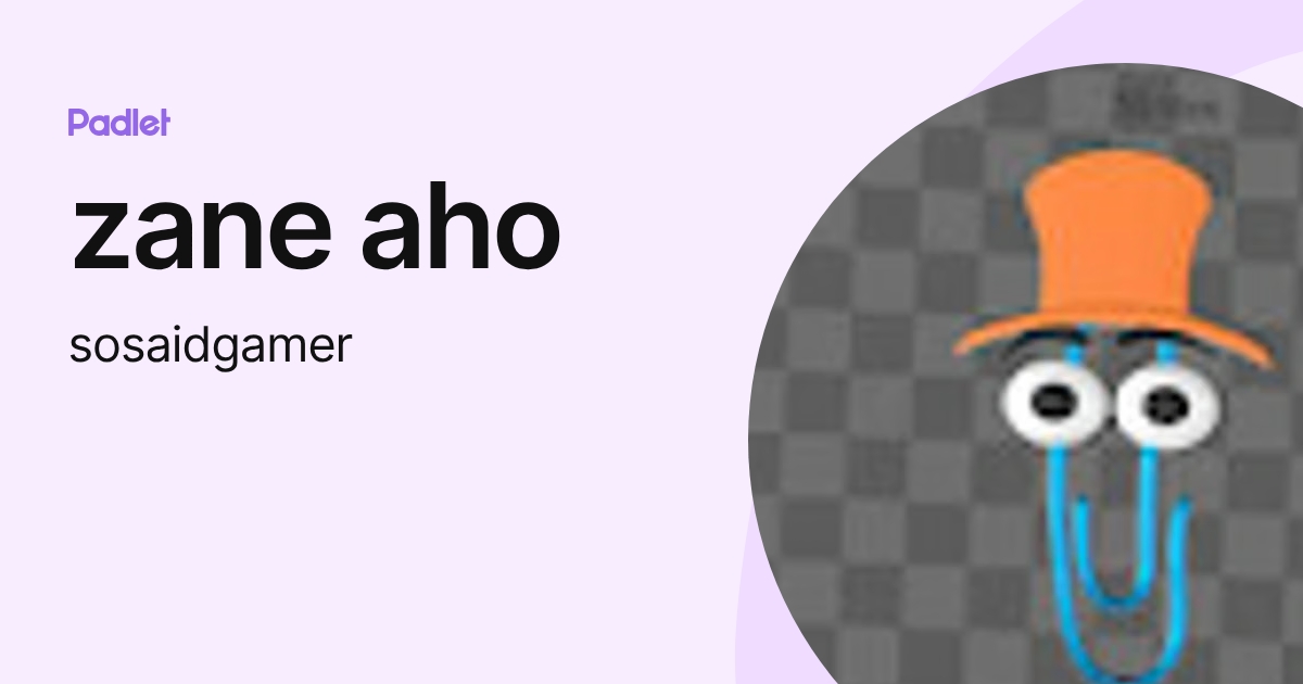 zane aho (sosaidgamer) profile | Padlet