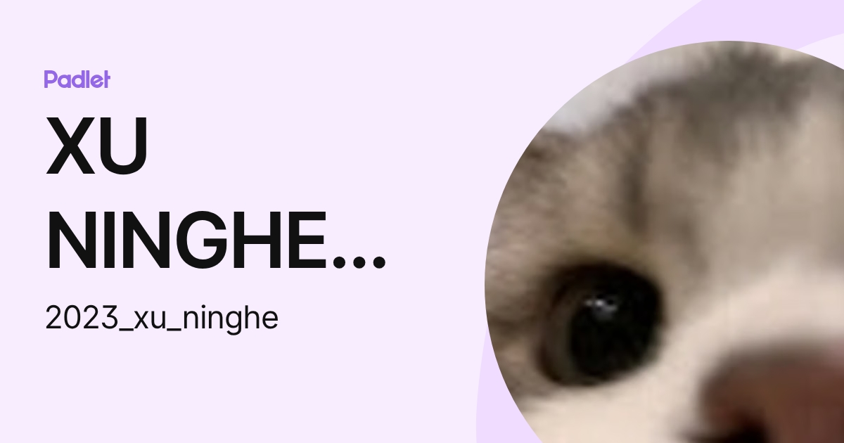 XU NINGHE Student S1R3 (2023_xu_ninghe) profile | Padlet