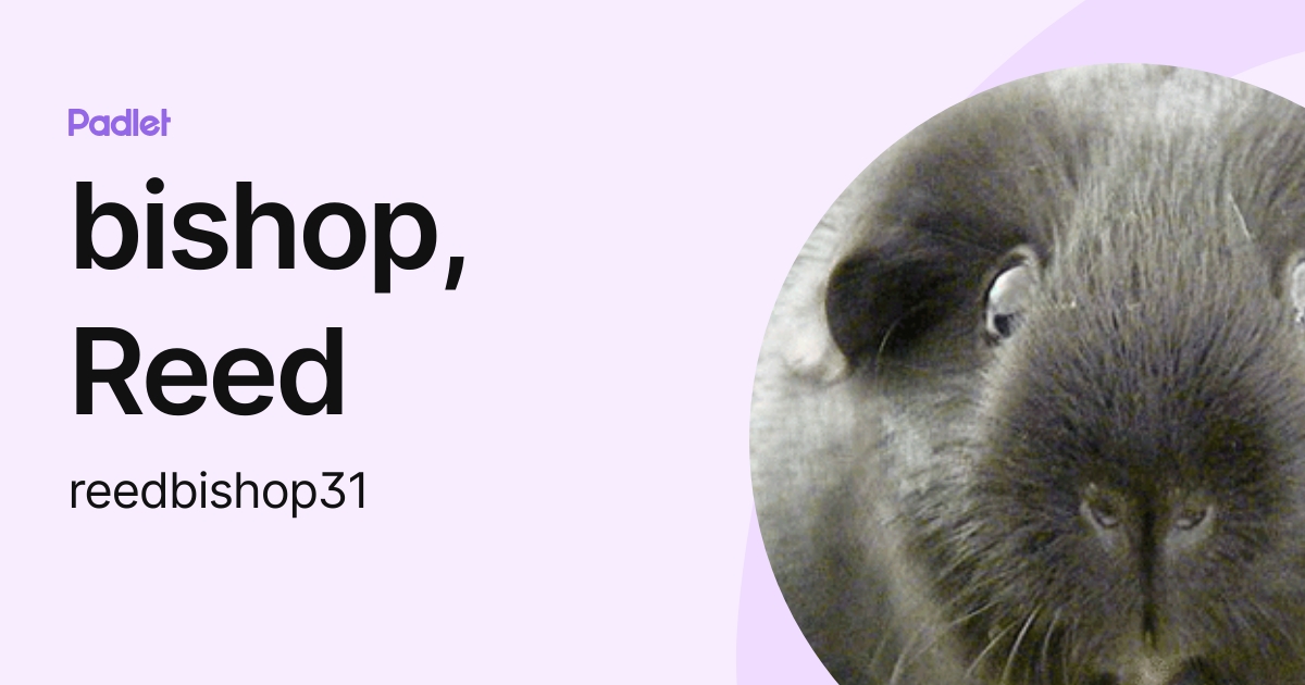 bishop, Reed (reedbishop31) profile | Padlet