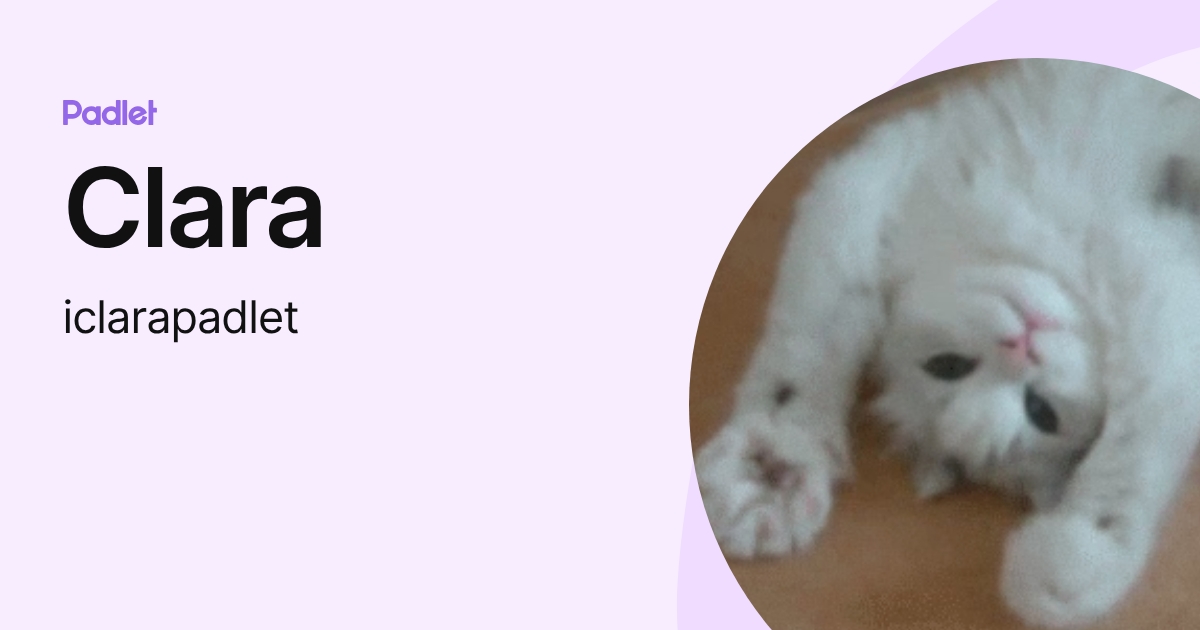 Clara (iclarapadlet) profile | Padlet