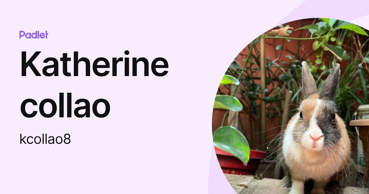 Katherine collao (kcollao8) profile | Padlet