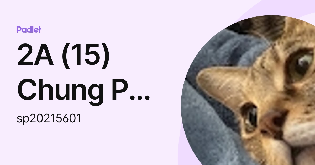2A (15) Chung Pui In Noelle (sp20215601) profile | Padlet
