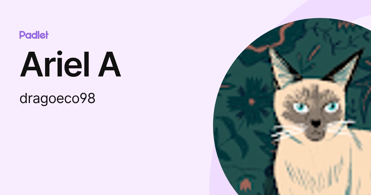 Ariel A (dragoeco98) profile | Padlet