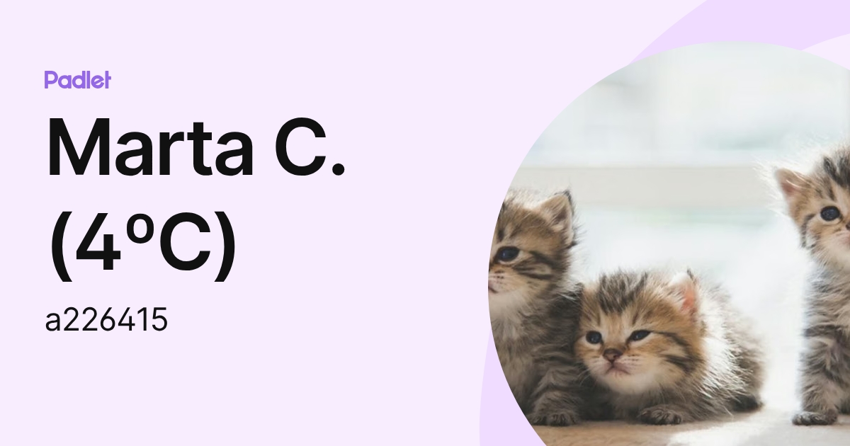 Marta C.(4ºC) (a226415) profile | Padlet