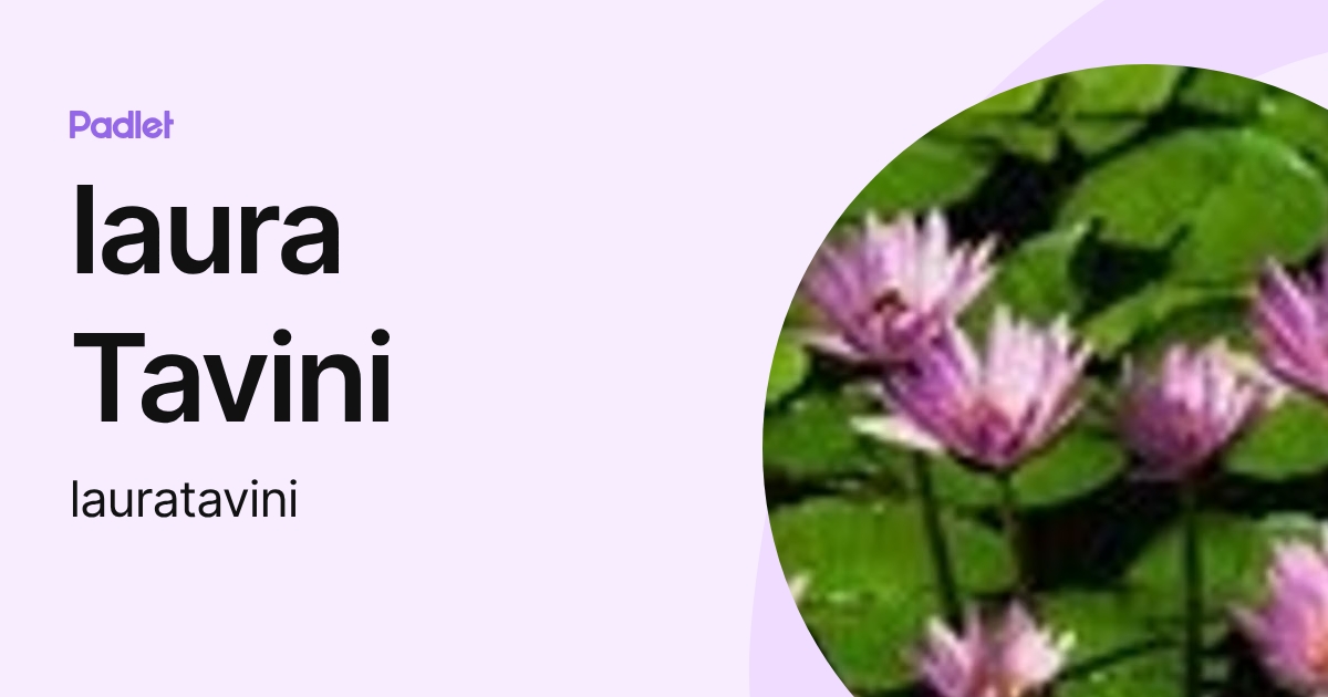 laura Tavini (lauratavini) profile | Padlet