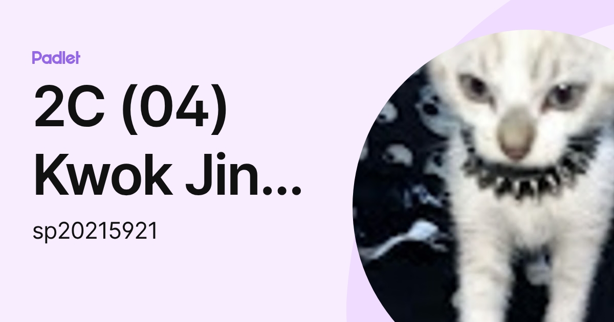 2C (04) Kwok Jin Tong Jude (sp20215921) profile | Padlet