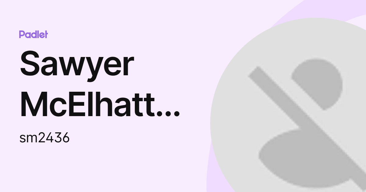 Sawyer McElhatton (sm2436) profile | Padlet