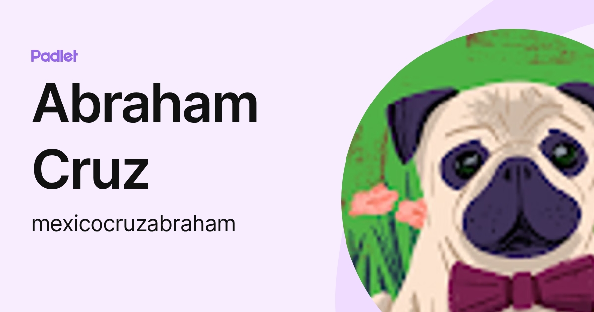 Abraham Cruz (mexicocruzabraham) profile | Padlet