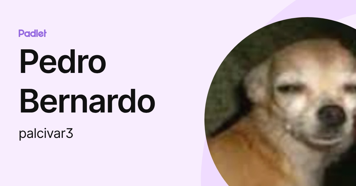 Pedro Bernardo (palcivar3) profile | Padlet