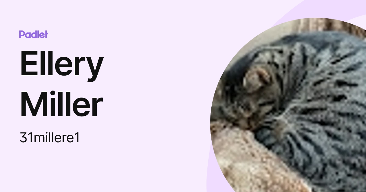 Ellery Miller (31millere1) profile | Padlet