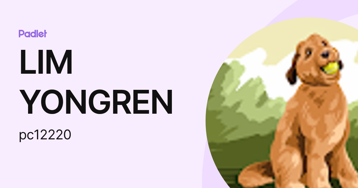 LIM YONGREN (pc12220) profile | Padlet