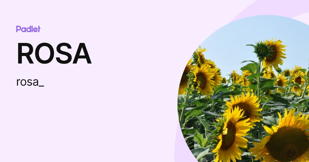 ROSA (rosa_) profile | Padlet