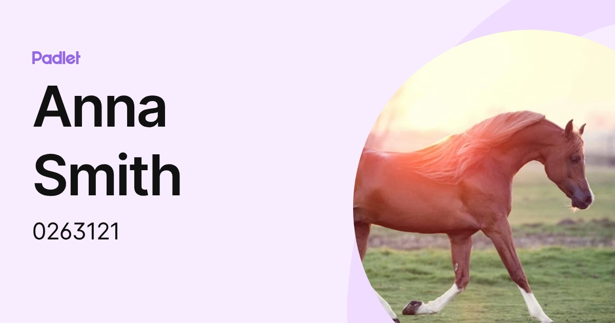 Anna Smith (0263121) profile | Padlet
