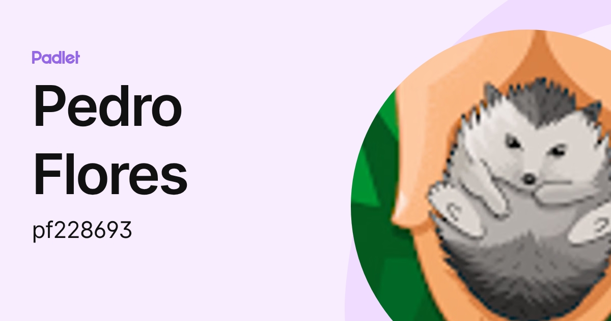 Pedro Flores (pf228693) profile | Padlet