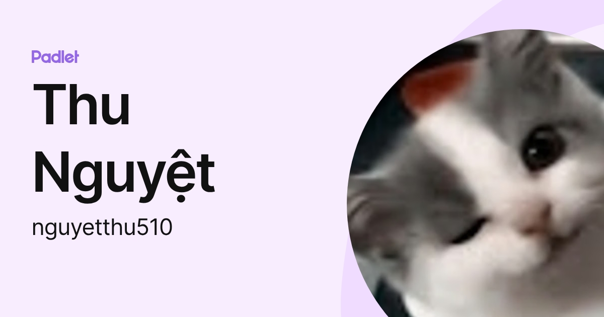 Thu Nguyệt (nguyetthu510) profile | Padlet