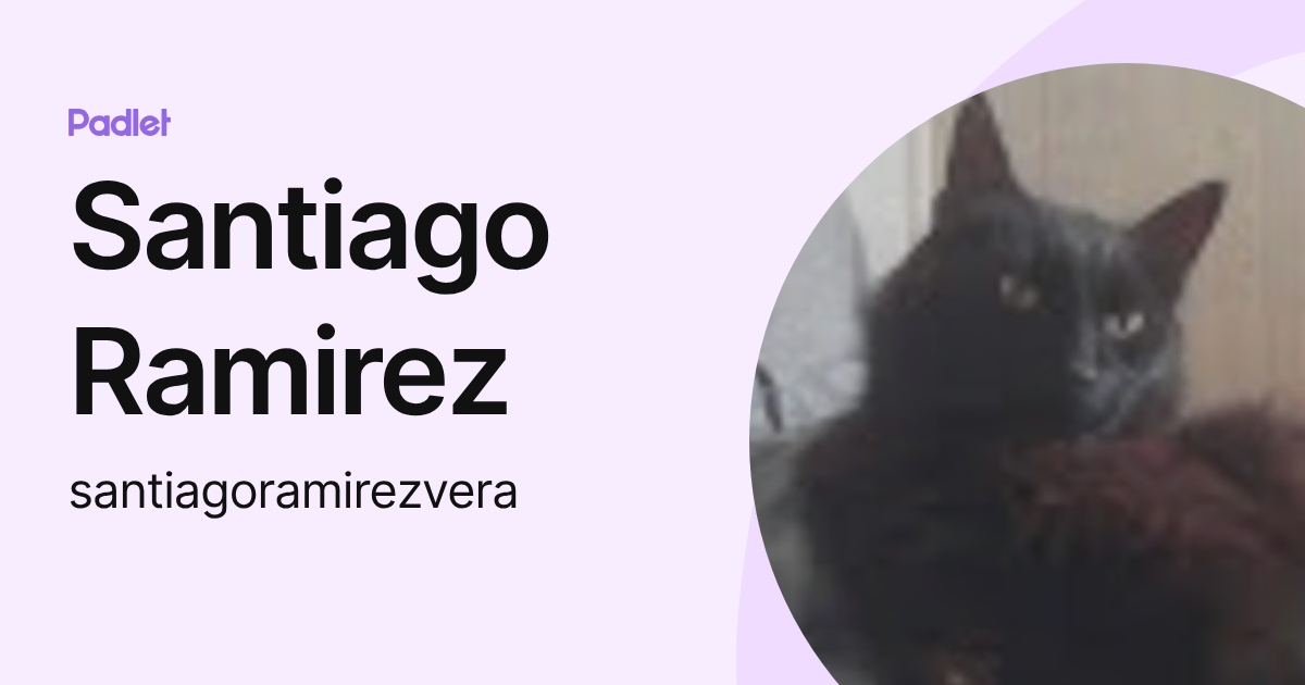 santiago ramirez (santiagoramirezvera) profile | Padlet