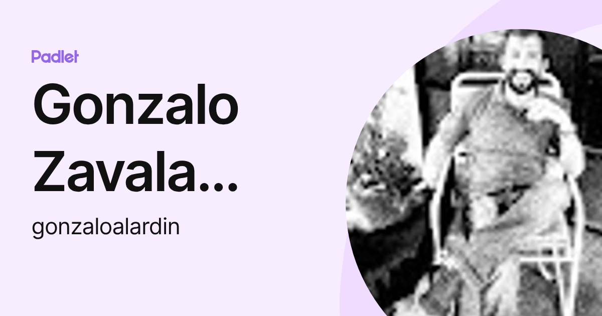 Gonzalo Zavala Alardín (gonzaloalardin) profile | Padlet