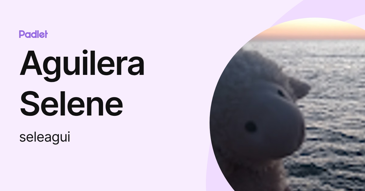 Aguilera Selene (seleagui) profile | Padlet