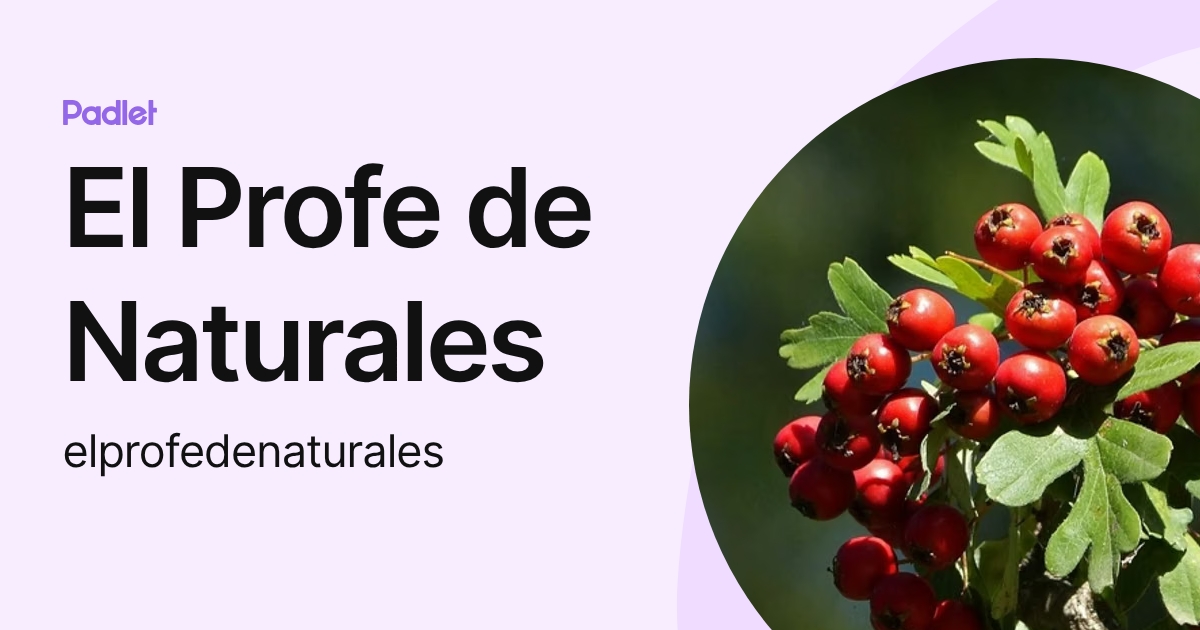 El Profe de Naturales (elprofedenaturales) profile | Padlet