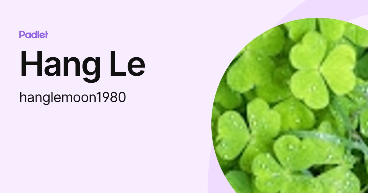 Hang Le (hanglemoon1980) profile | Padlet