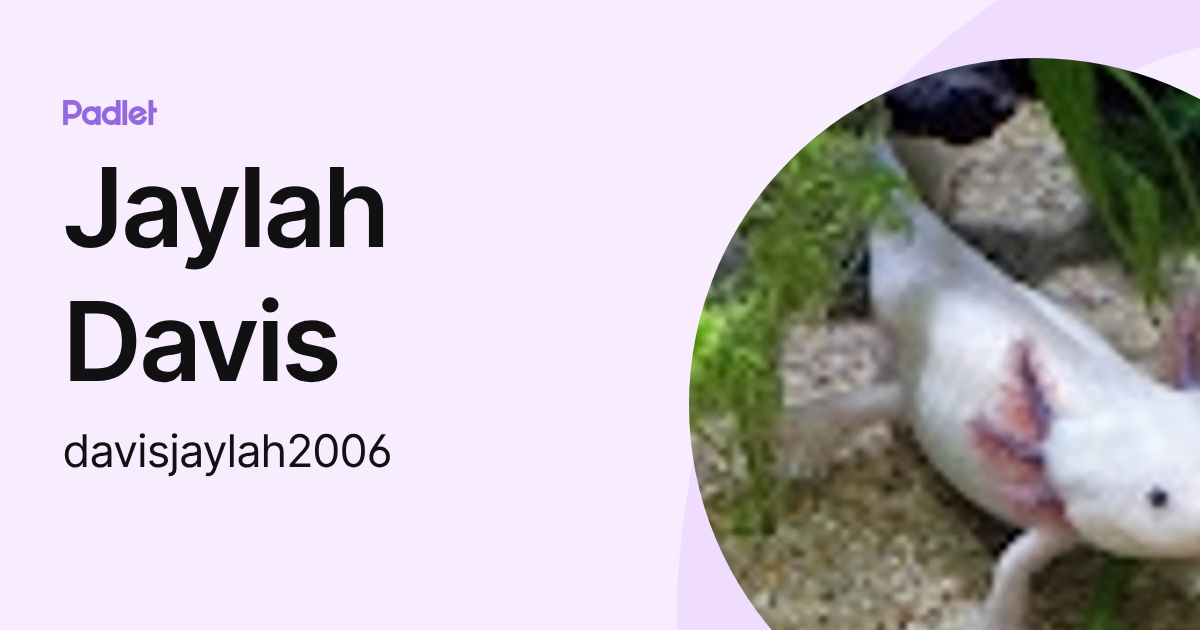 Jaylah Davis (davisjaylah2006) profile | Padlet