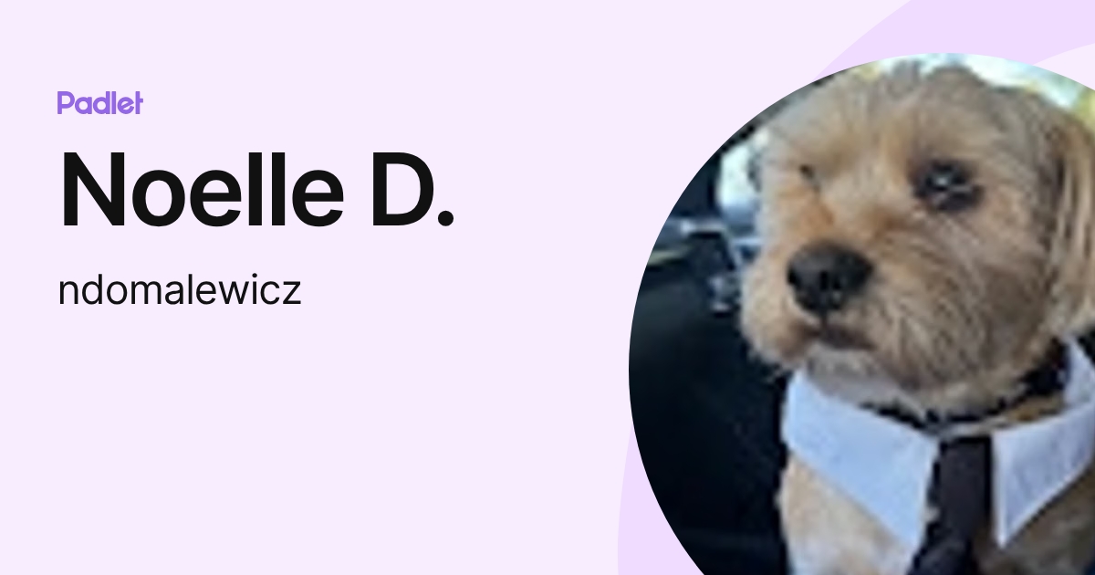 Noelle D. (ndomalewicz) profile | Padlet