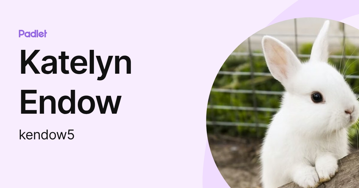 Katelyn Endow (kendow5) profile | Padlet